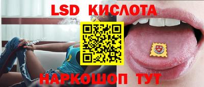 прущие грибы Партизанск