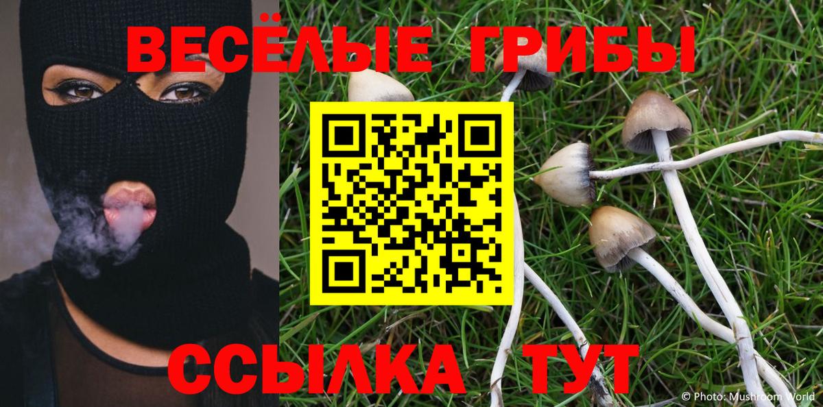 Топки  Галлюциногенные грибы Magic Shrooms  Галлюциногенные грибы Psilocybe  Вход с VPN 